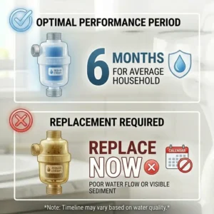 Infographic showing the 6-month replacement timeline for a bidet water filter.