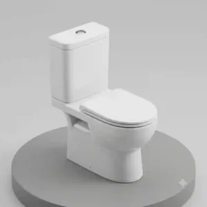 A detailed 3D isometric illustration of a ceramic floor mounted toilet showing the entire outer frame structure.