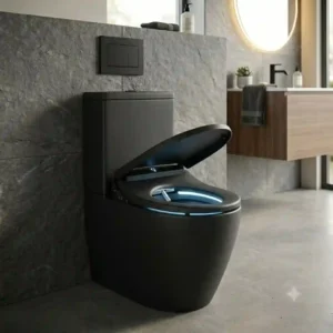 Interior view of a matte black toilet with bidet combo glowing with a soft blue LED nightlight at night