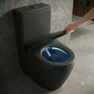 Dual-flush matte black toilet with bidet function showcasing a fingerprint-resistant finish.
